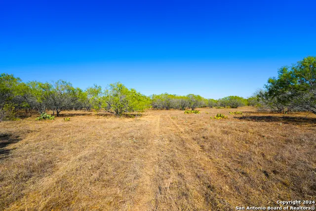 315 OLD PLEASANTON RD San Antonio, TX 78264