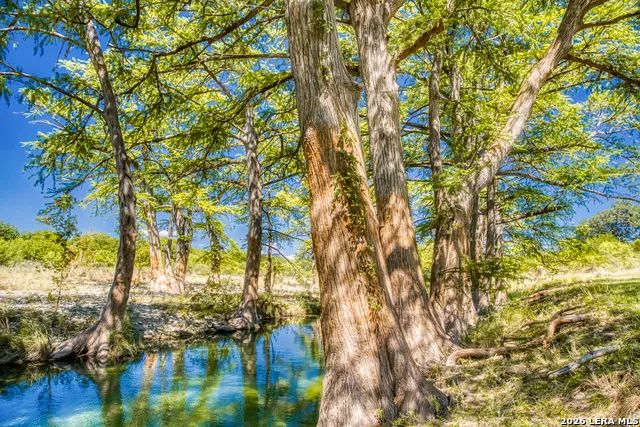 166 CYPRESS FALLS RD Utopia, TX 78884