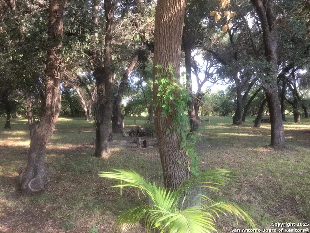1559 County Road 414 Uvalde, TX 78801