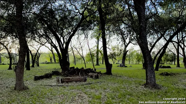 1559 County Road 414 Uvalde, TX 78801