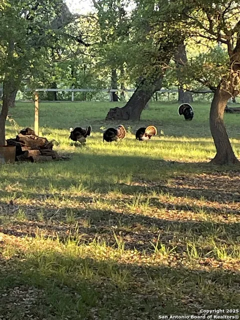 1559 County Road 414 Uvalde, TX 78801