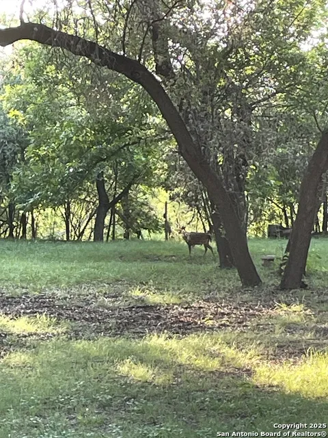 1559 County Road 414 Uvalde, TX 78801