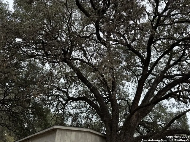1559 County Road 414 Uvalde, TX 78801