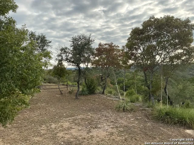 1524 freshwater Bulverde, TX 78163