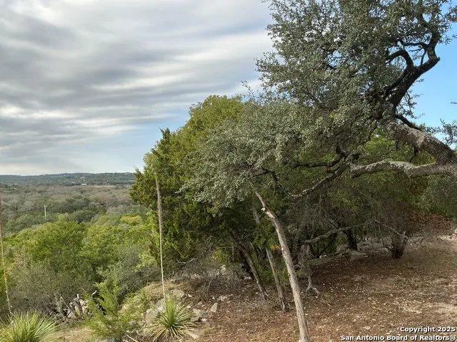 1524 freshwater Bulverde, TX 78163