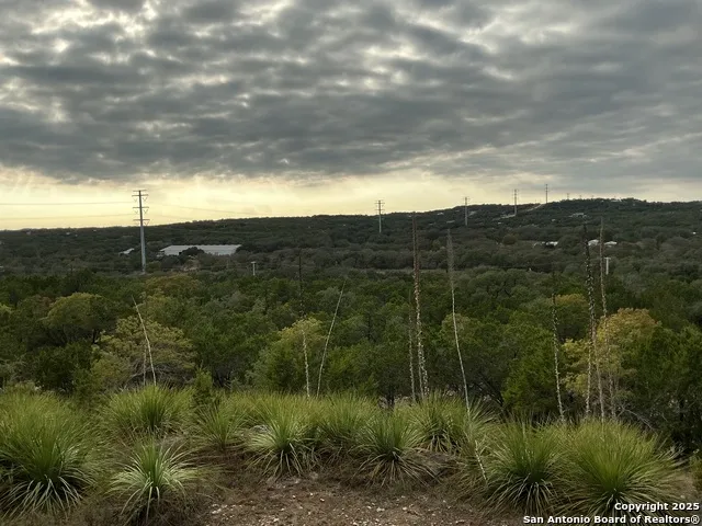 1524 freshwater Bulverde, TX 78163