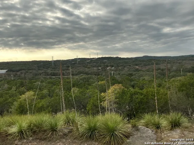 1524 freshwater Bulverde, TX 78163
