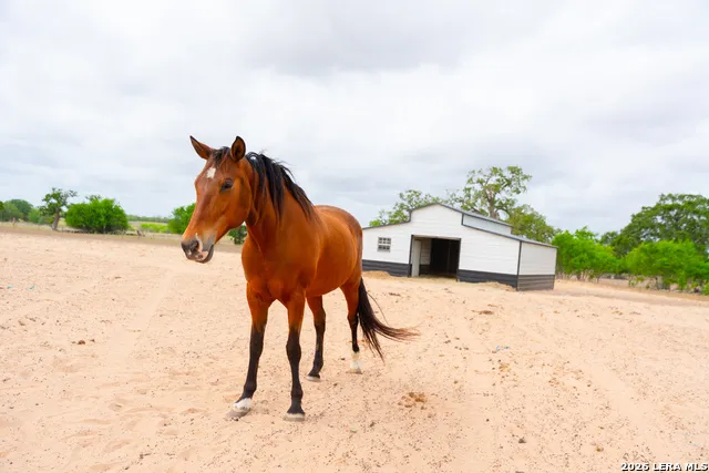 2948 FM 1922 Floresville, TX 78114