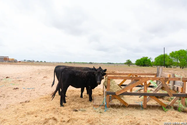 2948 FM 1922 Floresville, TX 78114