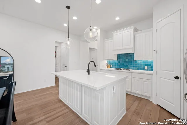 655 VIREOS ST New Braunfels, TX 78132