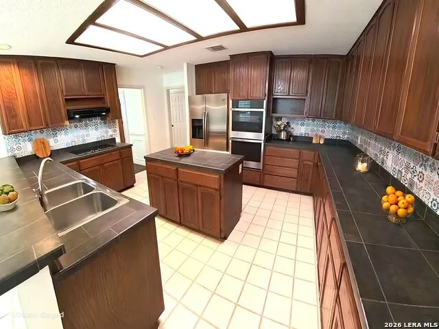 17818 WINTER HL San Antonio, TX 78258