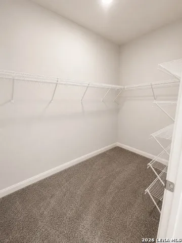 160 Sambar Main Schertz, TX 78108