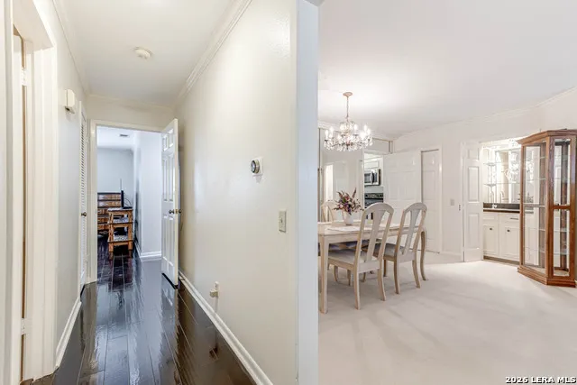 8415 Fredericksburg #307 San Antonio, TX 78229