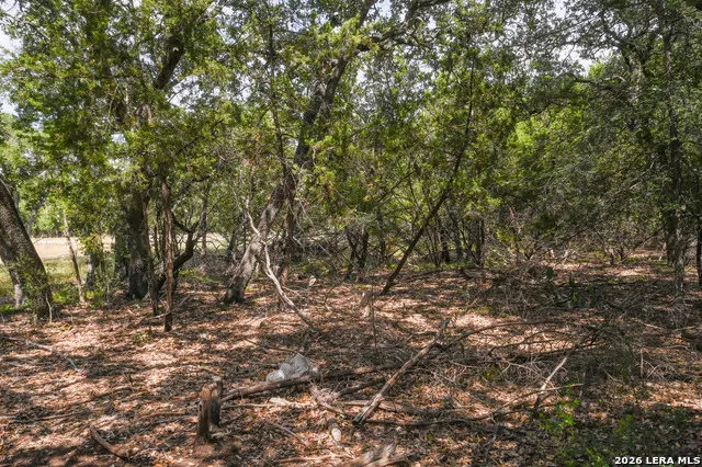 3009 WELLESLEY KY Shavano Park, TX 78231