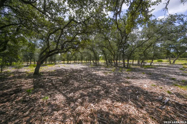 3009 WELLESLEY KY Shavano Park, TX 78231