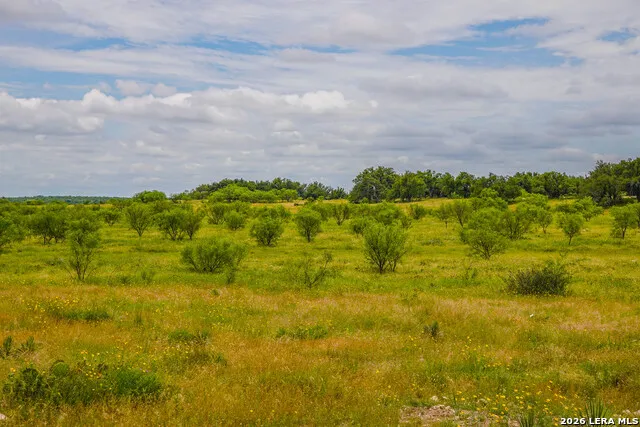 00 Treadwell Ln Menard, TX 76859