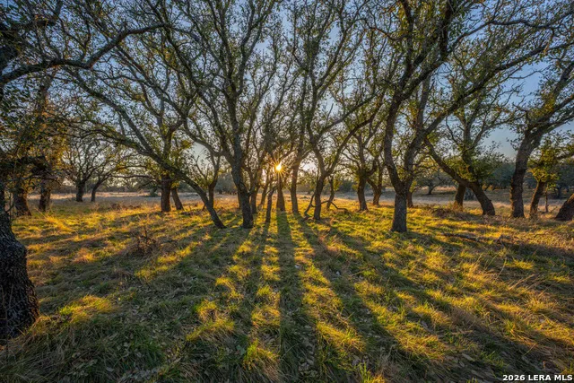 00 Treadwell Ln Menard, TX 76859