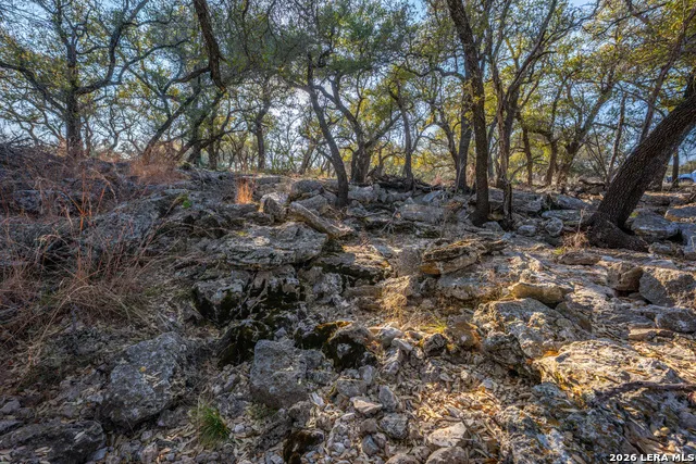 00 Treadwell Ln Menard, TX 76859