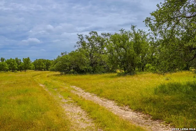 00 Treadwell Ln Menard, TX 76859
