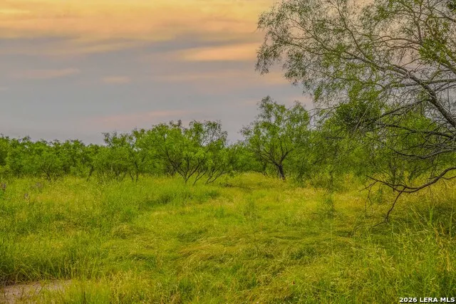 00 Treadwell Ln Menard, TX 76859