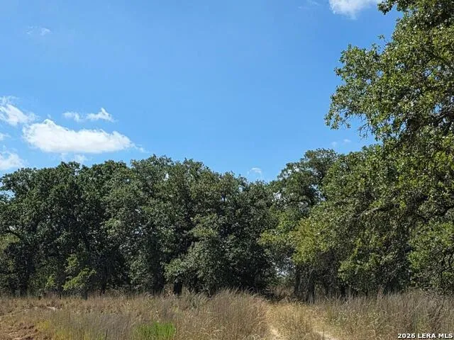 2404 County Road 320 Floresville, TX 78114