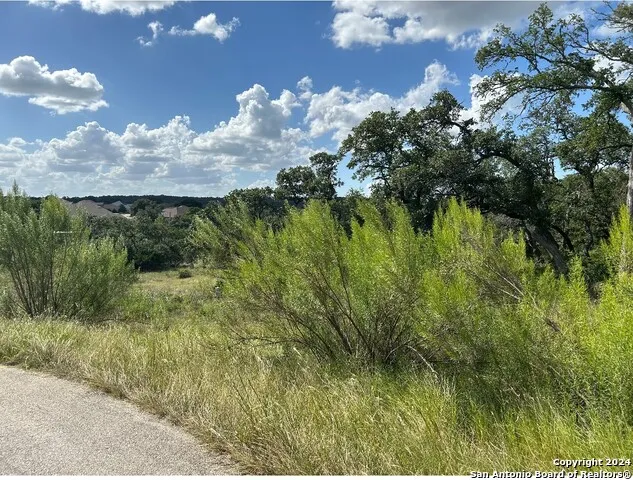 1728 CHARDONNAY New Braunfels, TX 78132