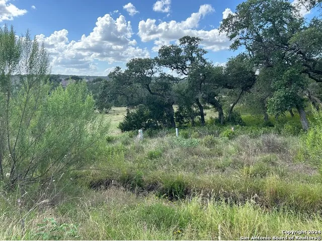 1728 CHARDONNAY New Braunfels, TX 78132