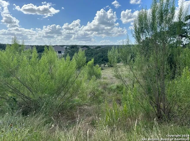 1728 CHARDONNAY New Braunfels, TX 78132