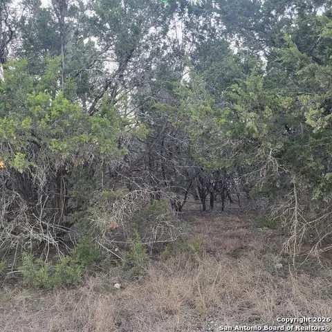 0 Tbd (Oak Ridge - lot 22) Spring Branch, TX 78070
