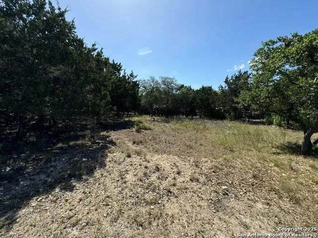 UNKNOWN Lakepark/Deer Oaks Lakehills, TX 78063