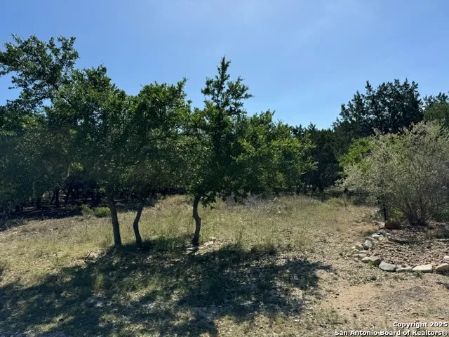 UNKNOWN Lakepark/Deer Oaks Lakehills, TX 78063