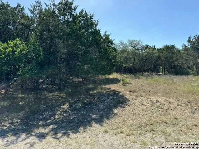 UNKNOWN Lakepark/Deer Oaks Lakehills, TX 78063