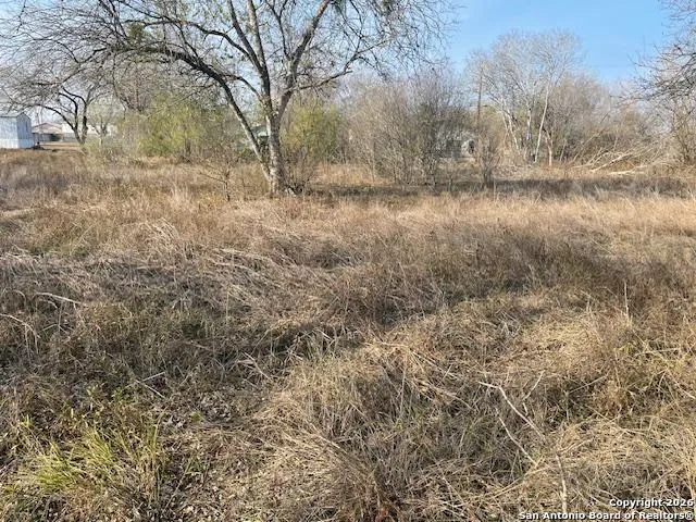 606 Cedar Jourdanton, TX 78026
