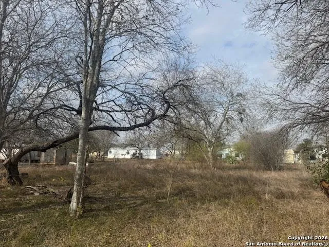 606 Cedar Jourdanton, TX 78026