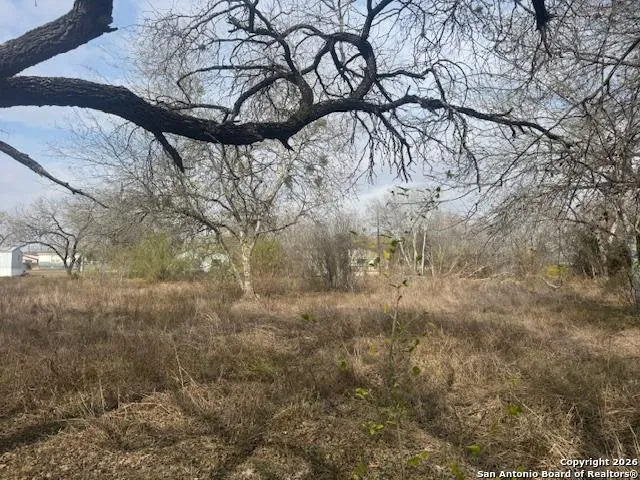 606 Cedar Jourdanton, TX 78026