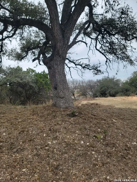 14922 Medusa Selma, TX 78154