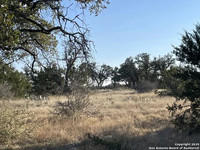 14 Seven Springs Dr. Junction, TX 76849