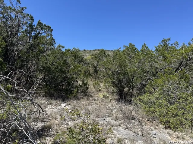 2325 Private Road 2700 Uvalde, TX 78801