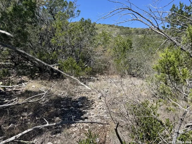 2325 Private Road 2700 Uvalde, TX 78801