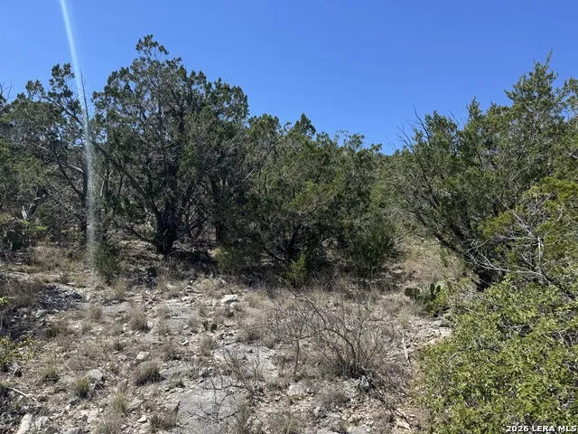 2325 Private Road 2700 Uvalde, TX 78801
