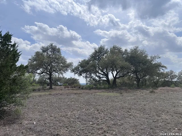 318 Serenity Pass Spring Branch, TX 78070