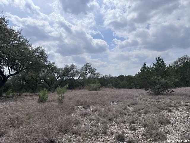 318 Serenity Pass Spring Branch, TX 78070