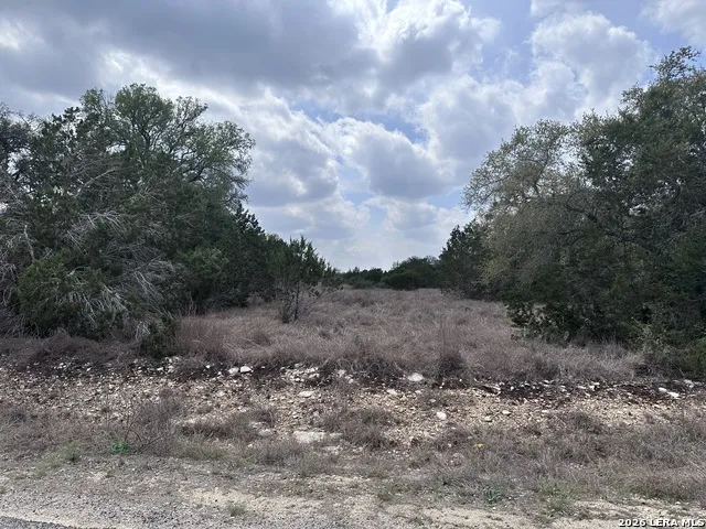318 Serenity Pass Spring Branch, TX 78070