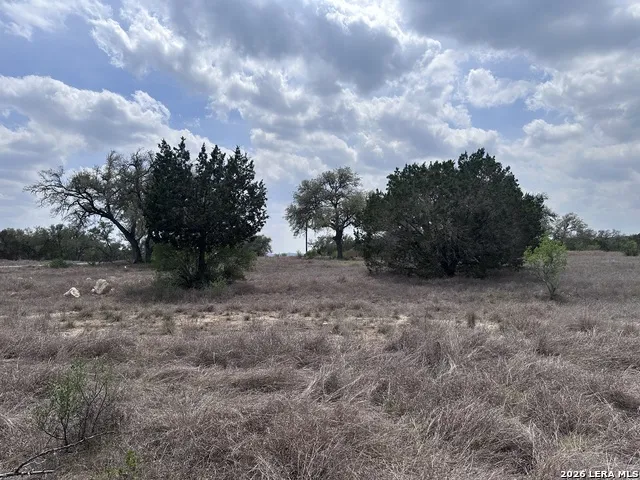 318 Serenity Pass Spring Branch, TX 78070