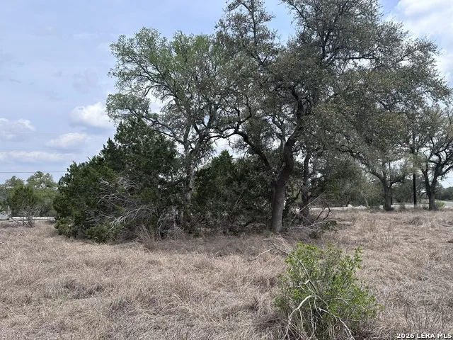 318 Serenity Pass Spring Branch, TX 78070