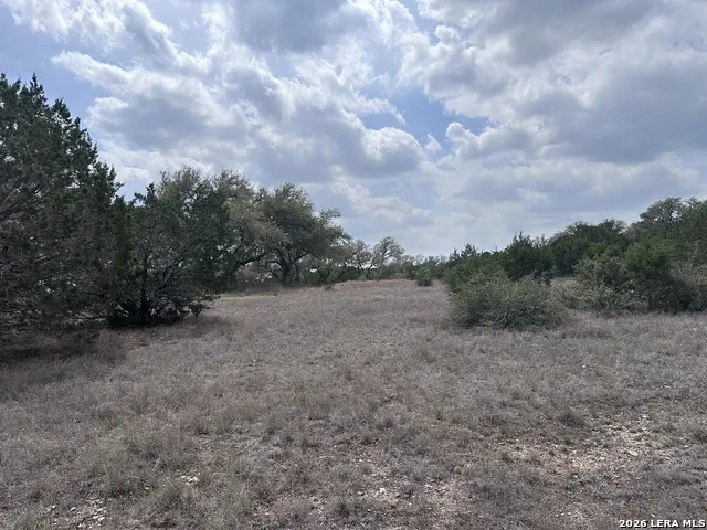 318 Serenity Pass Spring Branch, TX 78070