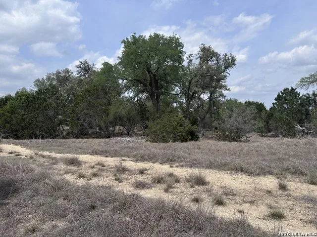 318 Serenity Pass Spring Branch, TX 78070