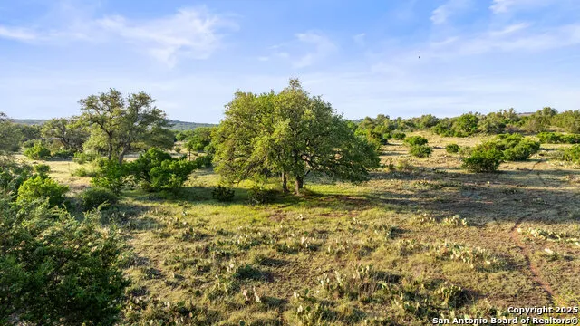 LOT 3 Vista Ridge Round Mountain, TX 78663