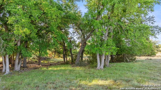 LOT 4 Vista Ridge Round Mountain, TX 78663