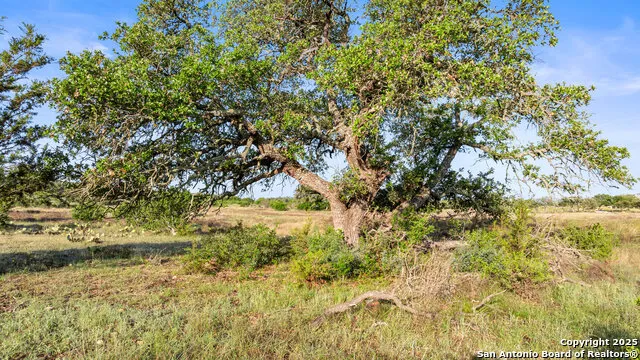 LOT 4 Vista Ridge Round Mountain, TX 78663
